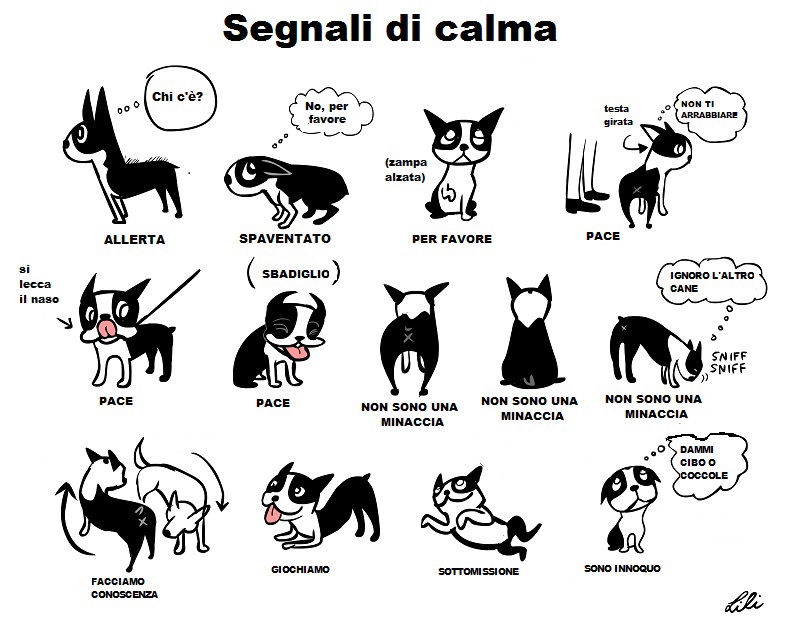 Segnali di calma del cane