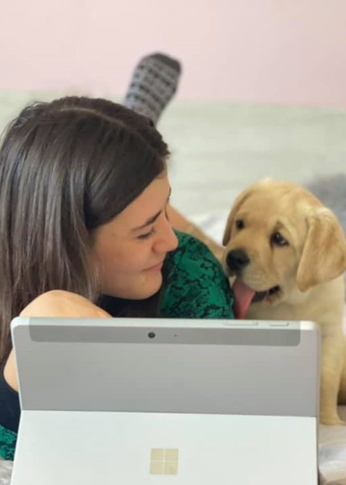 Bimba e labrador cucciolo