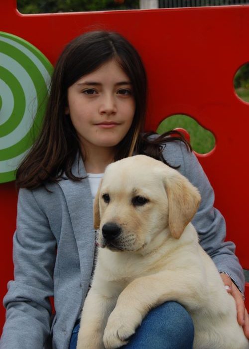Bimba col labrador