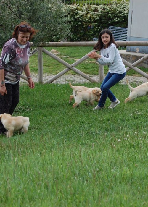 Corse e giochi sul prato